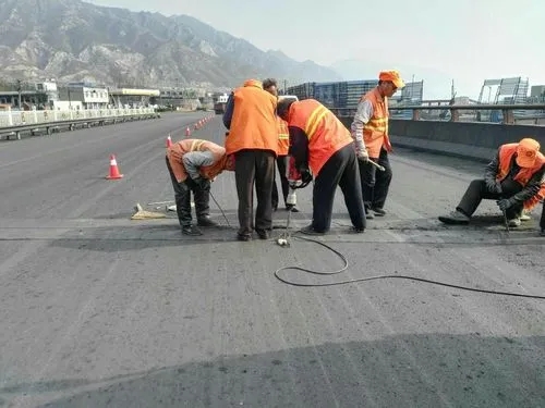 兴海道路桥梁病害治理